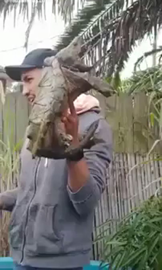 بالفيديو: العثور على حيوان نادر داخل المقابر يأكل جثث الأموات ويصدر اصوات مرعبة ! صورة رقم 1