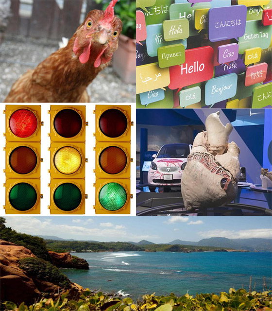 أكثر المعلومات غرابة على الإطلاق التي ستدهشك من حول العالم صورة رقم 5 أكثر المعلومات غرابة على الإطلاق التي ستدهشك من حول العالم صورة رقم 5