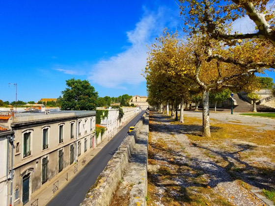 12 صورة مذهلة ومدهشة لدرجة أنها تبدو غير واقعية! صورة رقم 2