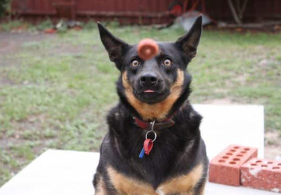  ���� ��� 4 - ��� ����� �� ���� ������� ������ �� ����� �������!