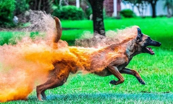  صور مذهلة لم ير الكثيرون مثلها يوما صورة رقم 11