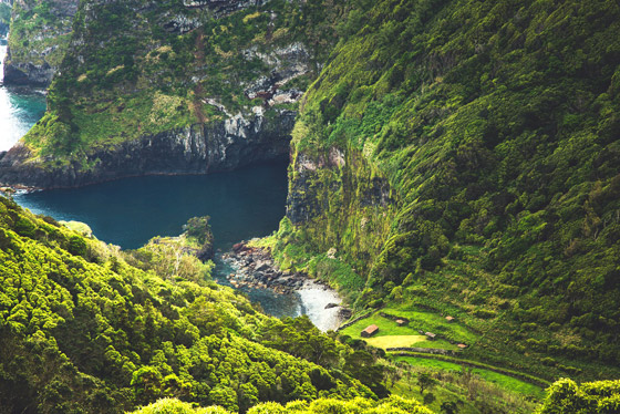 جزيرة سكنها بشر وحيوانات لا مثيل لهم في العالم! صورة رقم 11