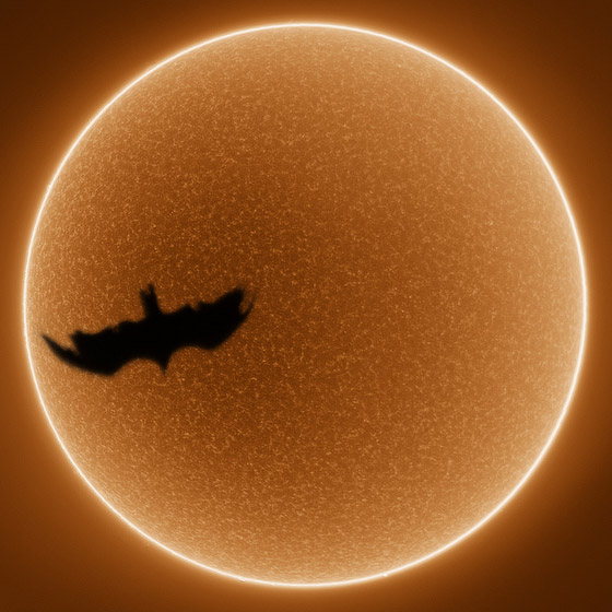 9 صور نادرة تظهر عجائب الطبيعة المذهلة صورة رقم 1