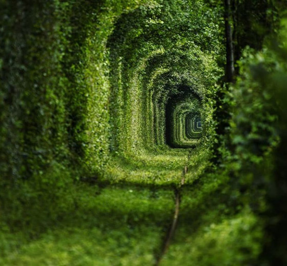 9 صور نادرة تظهر عجائب الطبيعة المذهلة صورة رقم 4