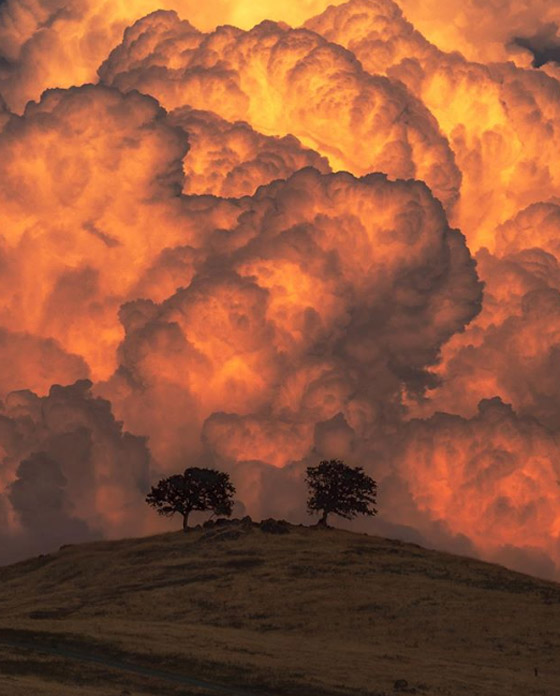 9 صور نادرة تظهر عجائب الطبيعة المذهلة صورة رقم 5