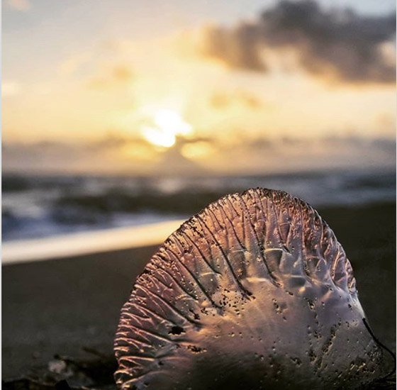 9 صور نادرة تظهر عجائب الطبيعة المذهلة صورة رقم 7