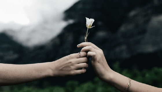 إليكم أكثر الأبراج تسامحا والتي لديها المقدرة على الغفران بسهولة صورة رقم 8