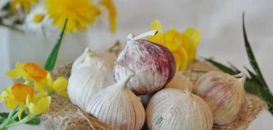 طرق بسيطة تحد من خطر الإصابة بالسرطان صورة رقم 9 طرق بسيطة تحد من خطر الإصابة بالسرطان صورة رقم 9