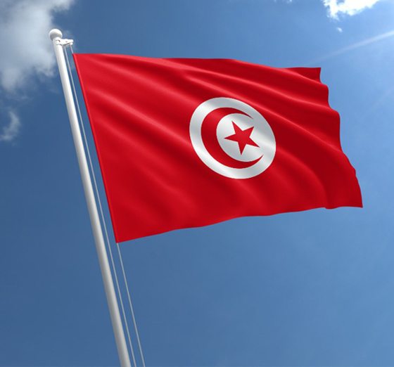 تونس.. محطات رئيسية في الانتقال الديمقراطي صورة رقم 11 تونس.. محطات رئيسية في الانتقال الديمقراطي صورة رقم 11