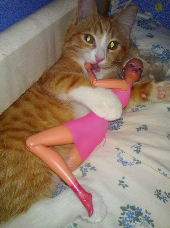 صور طريفة لتحول الحيوانات الأليفة إلى مثيري شغب صورة رقم 7 صور طريفة لتحول الحيوانات الأليفة إلى مثيري شغب صورة رقم 7