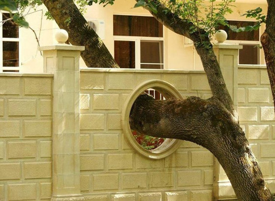 صور ملهمة.. عندما يحترم البشر الطبيعة صورة رقم 11