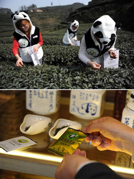 يصل سعر الكيلو لأحدها مليون دولار.. إليكم أغلى أنواع الشاي في العالم صورة رقم 8 يصل سعر الكيلو لأحدها مليون دولار.. إليكم أغلى أنواع الشاي في العالم صورة رقم 8