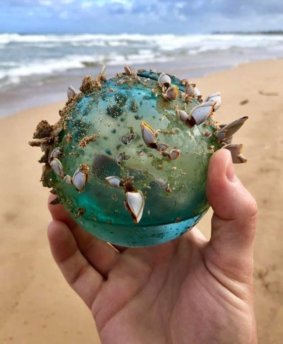 إليكم 8 من أغرب الصور المذهلة التي ستدهشك حتما! صورة رقم 1 إليكم 8 من أغرب الصور المذهلة التي ستدهشك حتما! صورة رقم 1