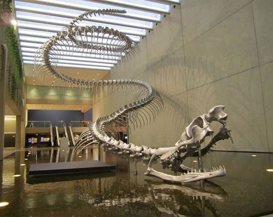 إليكم 8 من أغرب الصور المذهلة التي ستدهشك حتما! صورة رقم 3 إليكم 8 من أغرب الصور المذهلة التي ستدهشك حتما! صورة رقم 3