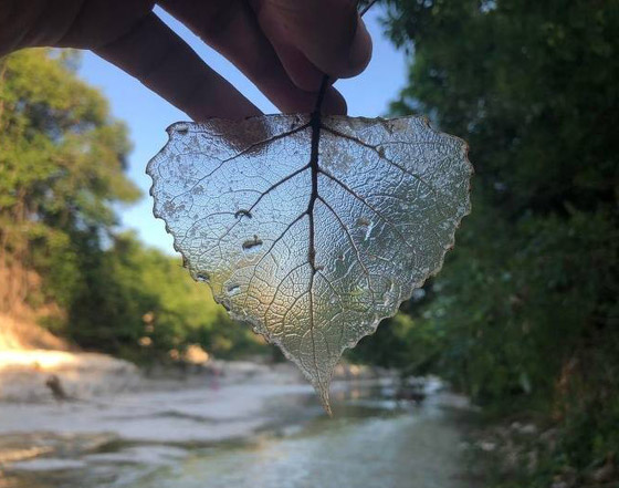 إليكم 8 من أغرب الصور المذهلة التي ستدهشك حتما! صورة رقم 4 إليكم 8 من أغرب الصور المذهلة التي ستدهشك حتما! صورة رقم 4