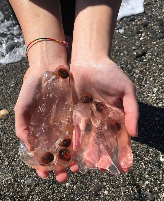 إليكم 8 من أغرب الصور المذهلة التي ستدهشك حتما! صورة رقم 5 إليكم 8 من أغرب الصور المذهلة التي ستدهشك حتما! صورة رقم 5