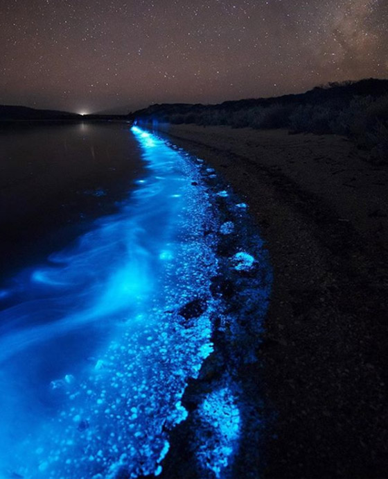 إليكم 8 من أغرب الصور المذهلة التي ستدهشك حتما! صورة رقم 7 إليكم 8 من أغرب الصور المذهلة التي ستدهشك حتما! صورة رقم 7