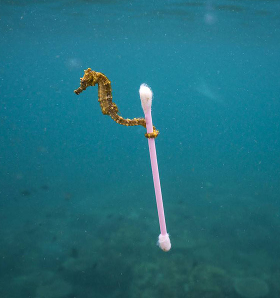 إليكم 8 من أغرب الصور المذهلة التي ستدهشك حتما! صورة رقم 8 إليكم 8 من أغرب الصور المذهلة التي ستدهشك حتما! صورة رقم 8