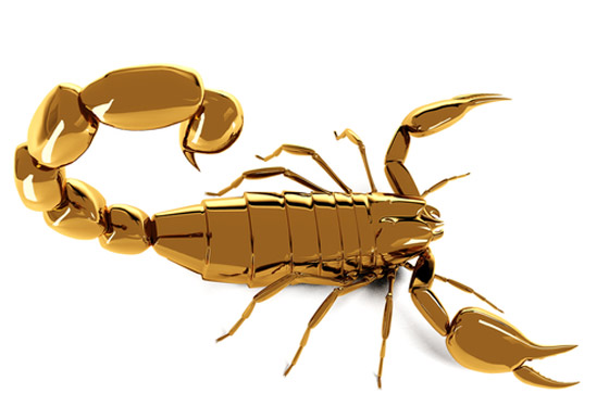 ترتيب الأبراج لسنة 2020 من أكثرها إلى أقلها حظًا صورة رقم 5