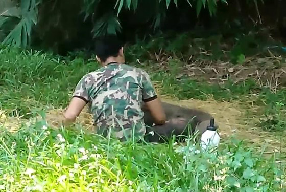 بالفيديو والصور: رد فعل مؤثر لفيل صغير رفضه قطيعه صورة رقم 4