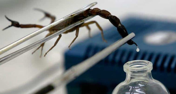 رقم هاتف، ورق وشاي.. 8 أشياء عادية بيعت بملايين الدولارات! صورة رقم 2