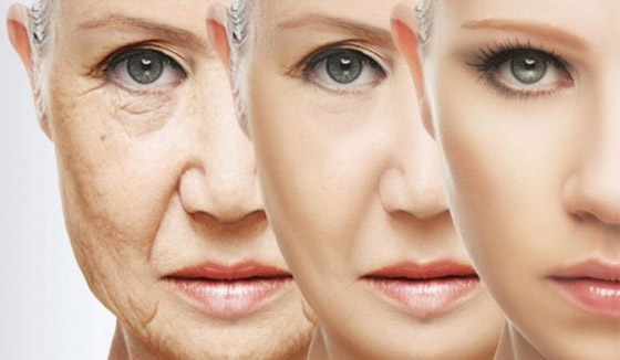 ما أسباب ظهور كدمات الجسم دون سبب؟ صورة رقم 6