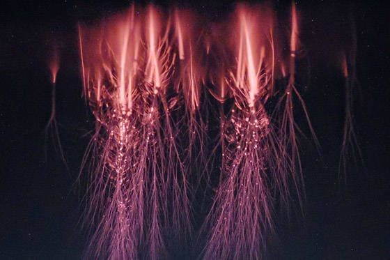 صورة مذهلة بدقة HD لـ(العفريت الأحمر) النادر! صورة رقم 1