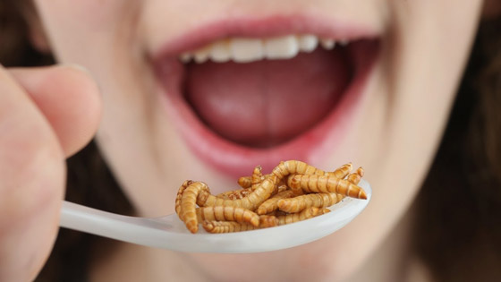 في زمن المجاعة العالمية.. لن يكون أمامك إلا هذه الأطعمة صورة رقم 2 في زمن المجاعة العالمية.. لن يكون أمامك إلا هذه الأطعمة صورة رقم 2