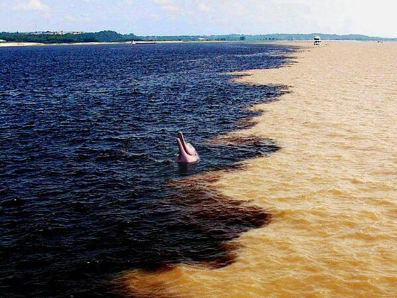 صور ساحرة تكشف عن بعض الأسرار حول العالم صورة رقم 12