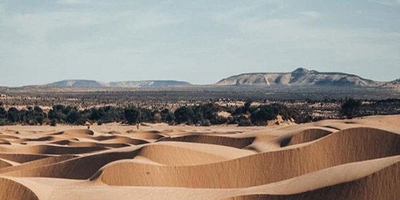بعد سبات طويل بسبب الإرهاب.. موريتانيا تفتح أبوابها للسياح صورة رقم 7