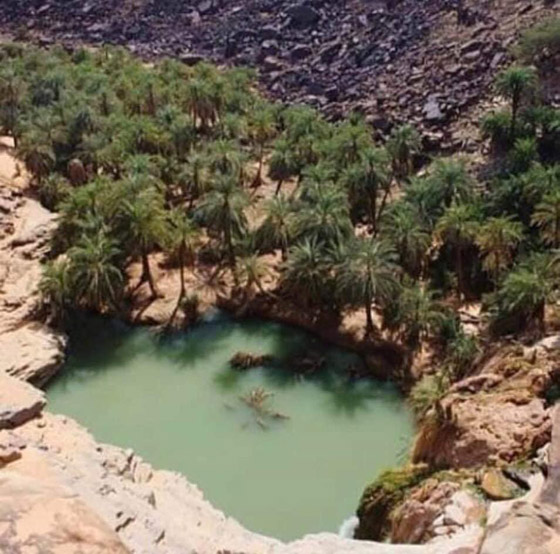 بعد سبات طويل بسبب الإرهاب.. موريتانيا تفتح أبوابها للسياح صورة رقم 11