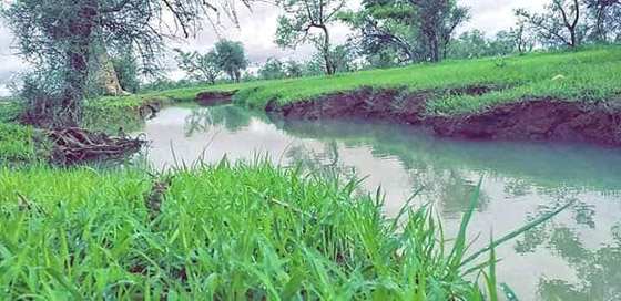 بعد سبات طويل بسبب الإرهاب.. موريتانيا تفتح أبوابها للسياح صورة رقم 14