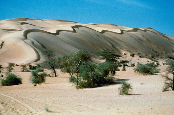 بعد سبات طويل بسبب الإرهاب.. موريتانيا تفتح أبوابها للسياح صورة رقم 21