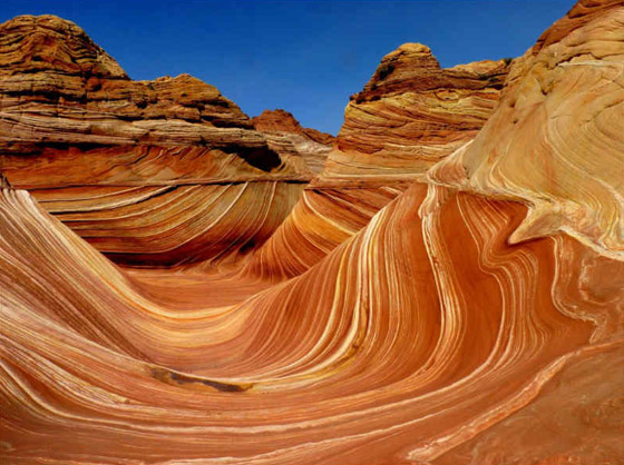  ���� ��� 6 - ������: ���� ������� ������� �������� ���� ���� ���� �� ���� ���!