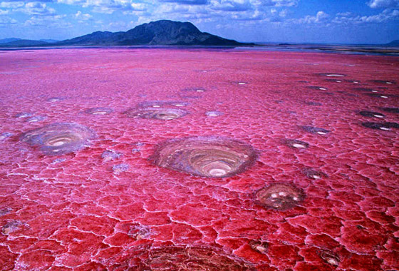  ���� ��� 10 - ������: ���� ������� ������� �������� ���� ���� ���� �� ���� ���!