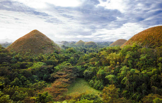  ���� ��� 11 - ������: ���� ������� ������� �������� ���� ���� ���� �� ���� ���!