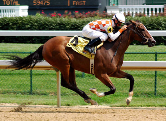 تعرفوا إلى أغلى الحيوانات حول العالم.. إحداهم سعره 16 مليون دولار! صورة رقم 7