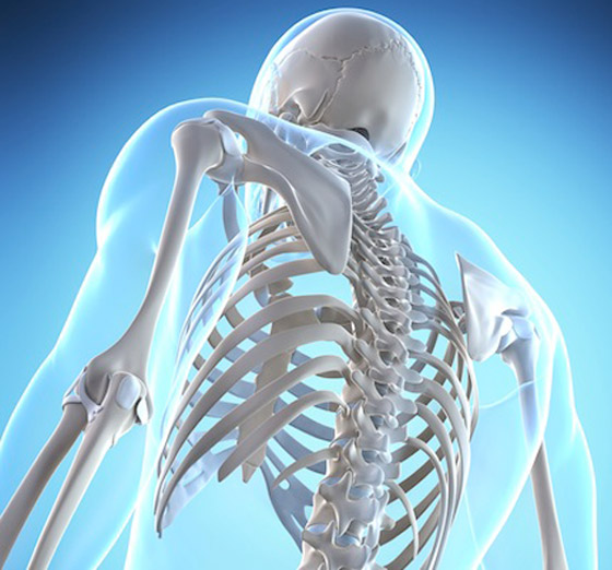 تعرفوا إلى أكثر 10 أنواع من الطعام تدمر العظام.. فاحذروها! صورة رقم 1