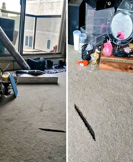 صور عجيبة تظهر جوانب غير تقليدية من العالم صورة رقم 8
