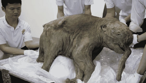 أغرب الأشياء التي كشف عنها ذوبان الجليد صورة رقم 2