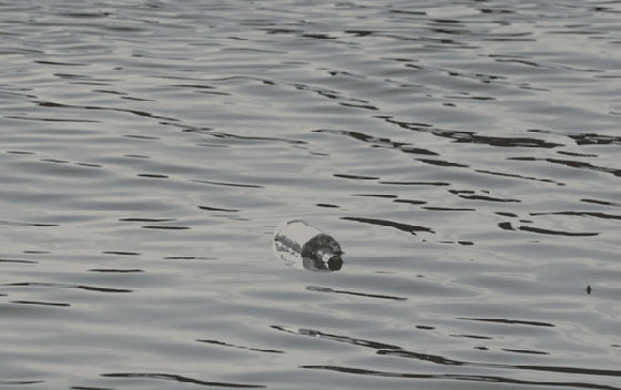 أغرب الأشياء التي كشف عنها ذوبان الجليد صورة رقم 3