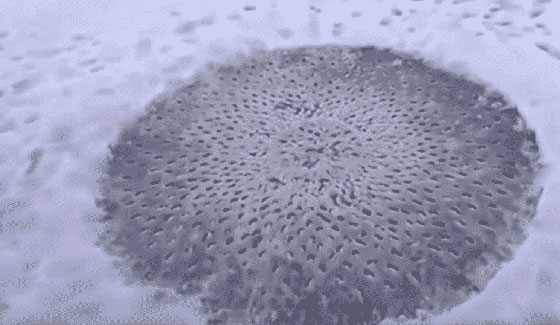 أغرب الأشياء التي كشف عنها ذوبان الجليد صورة رقم 5