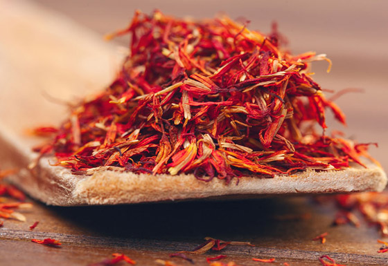  ���� ��� 10 - ������ �� ���� ����� ������� �� ������.. ������ ��� ����� �������� �������