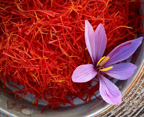  ���� ��� 1 - ������ �� ���� ����� ������� �� ������.. ������ ��� ����� �������� �������