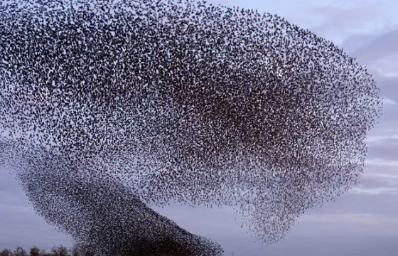 ظواهر عجيبة تحدث في أوقات محددة من السنة صورة رقم 3