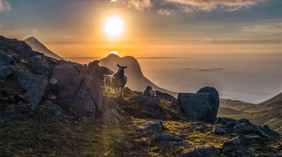 ظواهر عجيبة تحدث في أوقات محددة من السنة صورة رقم 7