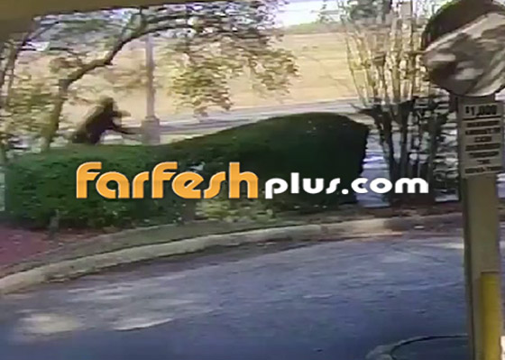 فيديو طريف.. لص غبي وأخرق يتعثر ويقع 3 مرات بعد سرقته البنك! صورة رقم 6
