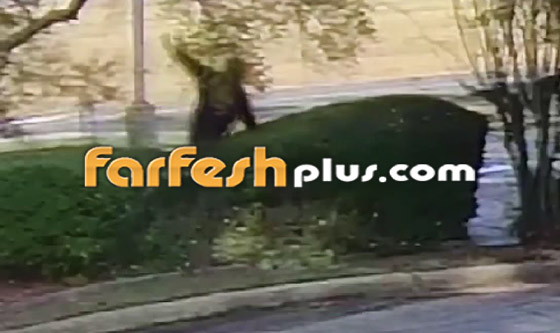 فيديو طريف.. لص غبي وأخرق يتعثر ويقع 3 مرات بعد سرقته البنك! صورة رقم 7
