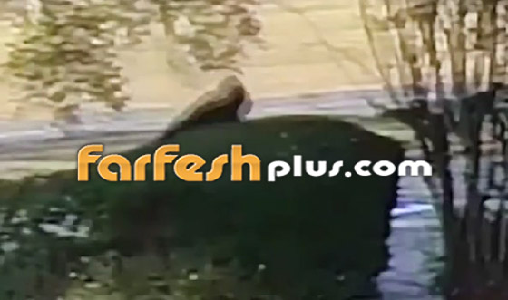 فيديو طريف.. لص غبي وأخرق يتعثر ويقع 3 مرات بعد سرقته البنك! صورة رقم 8