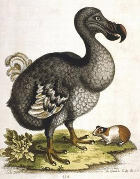 حيوانات وكائنات لن نراها مجددا وأخرى عادت إلى الحياة من جديد! صورة رقم 5